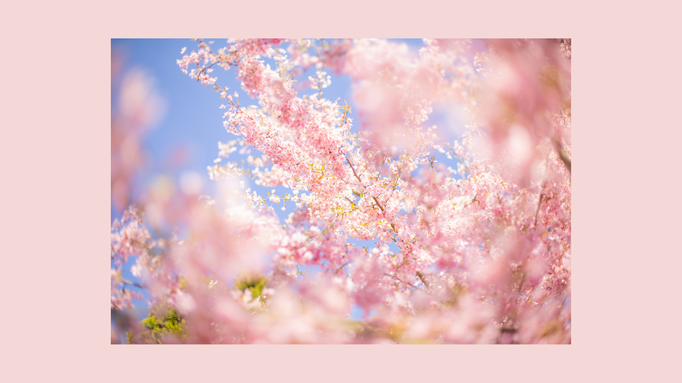 Spring Tops