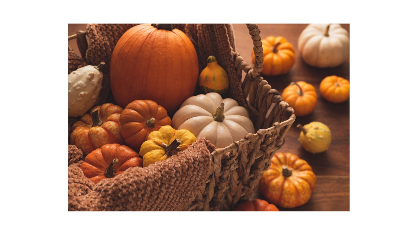Fall Tops